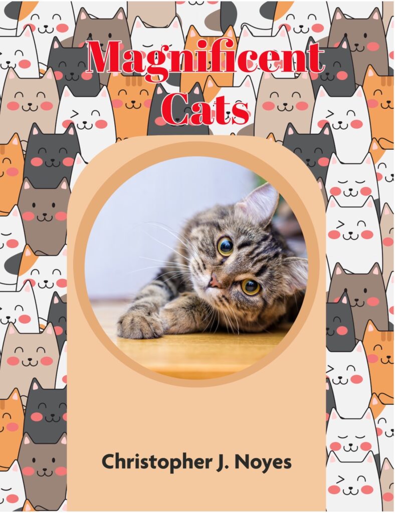 magnificent cats book cover